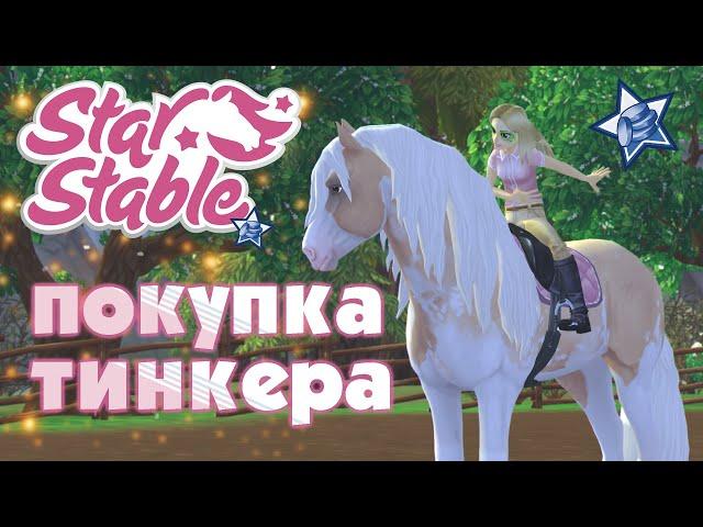 Star Stable - Покупка тинкера  ночная