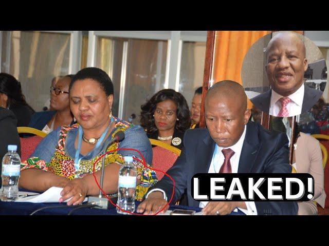 Breaking! Thoko Didiza Husband Unveil Heavy Secret - Malema In Big Trouble?!