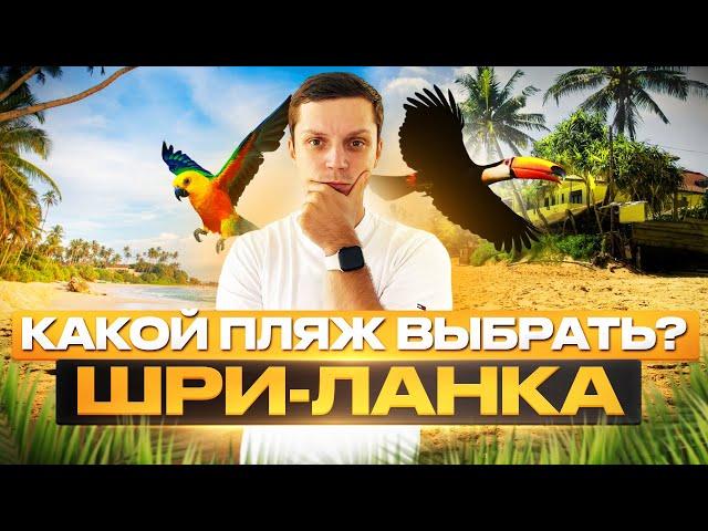 Обзор пляжей Шри-ланки | Худшие и лучшие | Шри-ланка 2023