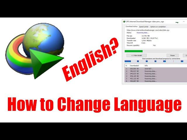 How to Change Language in IDM | Easy Tutorial