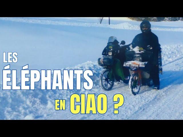 A crazy idea? Marco did 1600 km in a CIAO 49.9cc to participate in the Elephants in Germany!