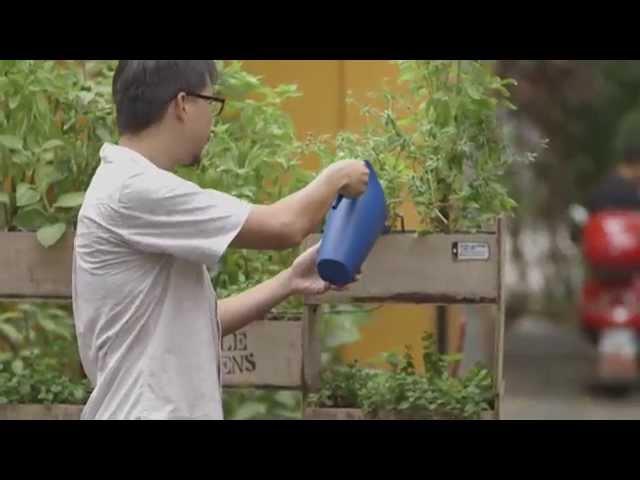 Urban Farming in Singapore | Outliers | Channel NewsAsia Connect