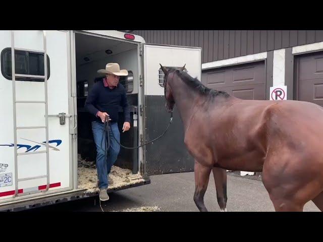 Our Journey to Spruce Meadows