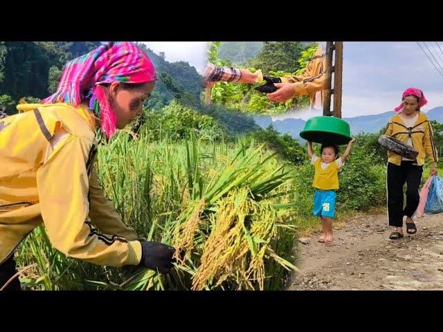 Mother works as a hired harvester to earn extra money and buy some household items with her daughter