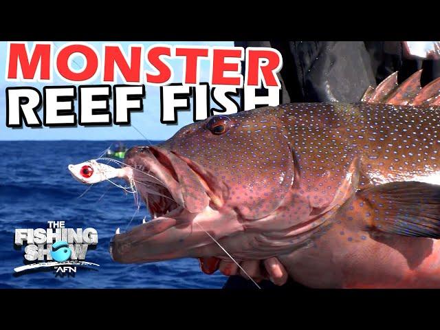 Reef Fishing for a Monster! | The Fishing Show