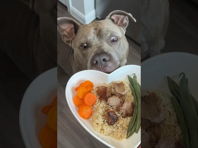 Cooking For My Dog ASMR