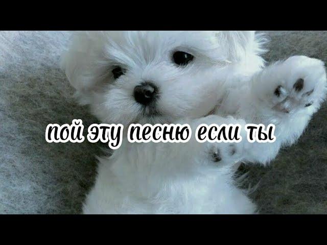  пой эту песню если ты... Песни. Новые. Пой...