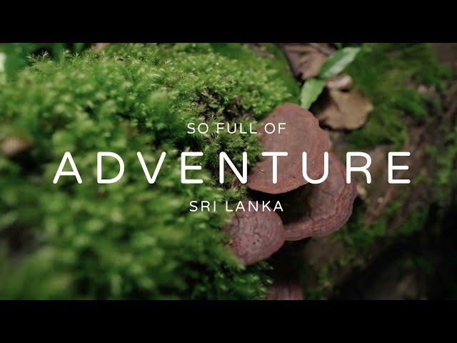 Mountain Trails | So Sri Lanka