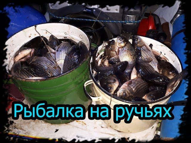 Рыбалка на ручьях ( промысел ) заготовка рыбы. Зелёным не смотреть.