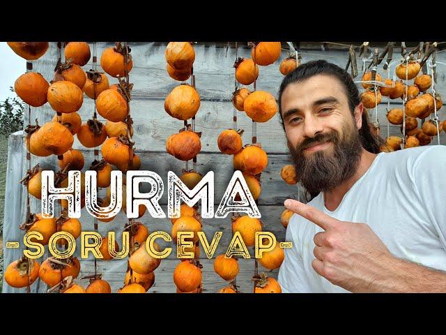 TRABZON HURMA NASIL KURUTULUR? | ️HURMA NEDEN BAĞIRSAK TIKAR?️ | HURMA PUDİNGİ TARİFİ