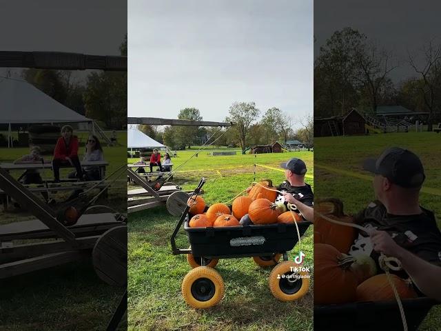 I actually had fun at the Pumpkin Patch today! #Pumpkin #PumpkinPatch #Trebuchet #fyp #simmonsfarm
