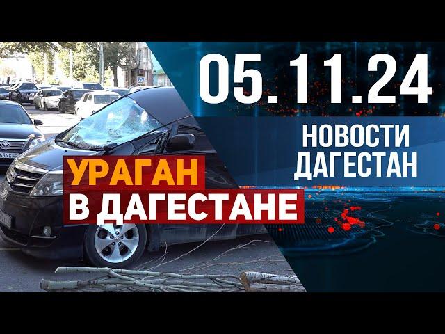 Ураган в Дагестане. Разбитые машины. Падение деревьев. Новости Дагестана за 05.11.2024 год