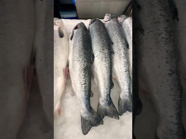 Salmon fish , salmon fillet / Fish market #fishing #uae