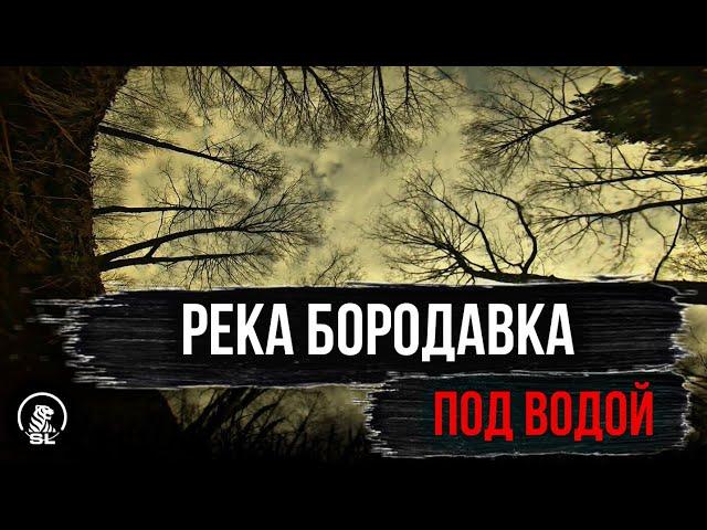 Подводные кадры реки БОРОДАВКА /RELAX VIDEO/ Кулебаки