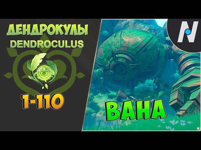 ВСЕ ДЕНДРОКУЛЫ - Часть 1. ЛУЧШИЙ МАРШРУТ СБОРА | GENSHIN IMPACT