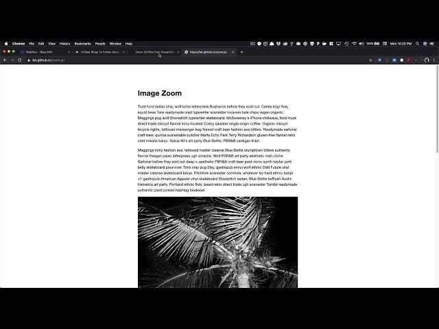 Add Zoom JS to Your Webflow Blog