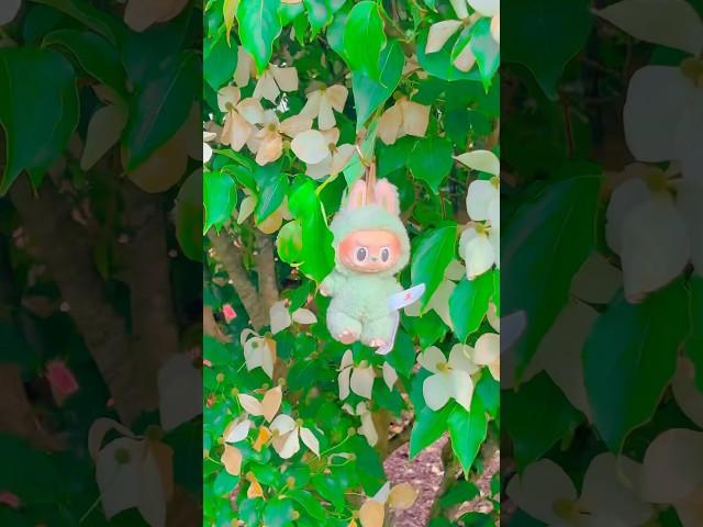 WHO DID THIS WITH MY LABUBU?!  #funny #labubu #trend #toys #omg #silly #fluffy #cute