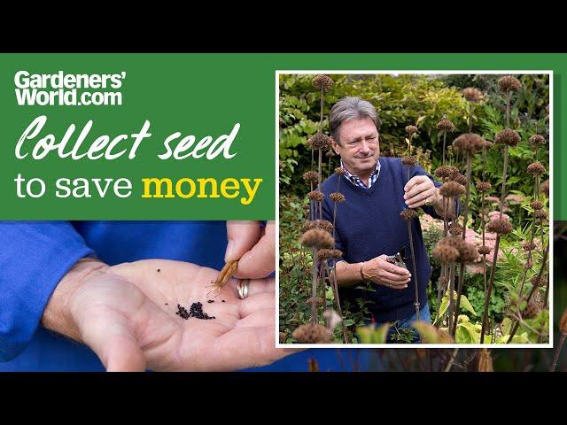 Save money by saving seed | Alan's guide to seed saving