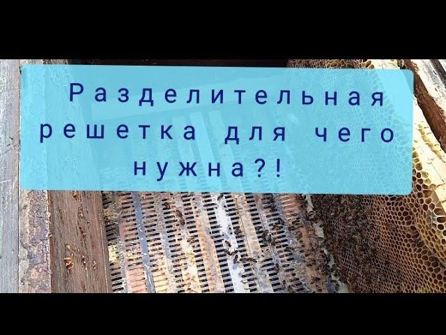 Разделительная решётка, зачем ставить?!