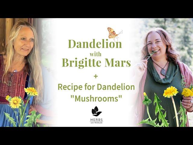 Dandelion with Brigitte Mars + Dandelion Mushrooms recipe