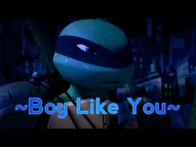 [TMNT AMV] Leonardo - Boy Like You (For Asuna Hamato)