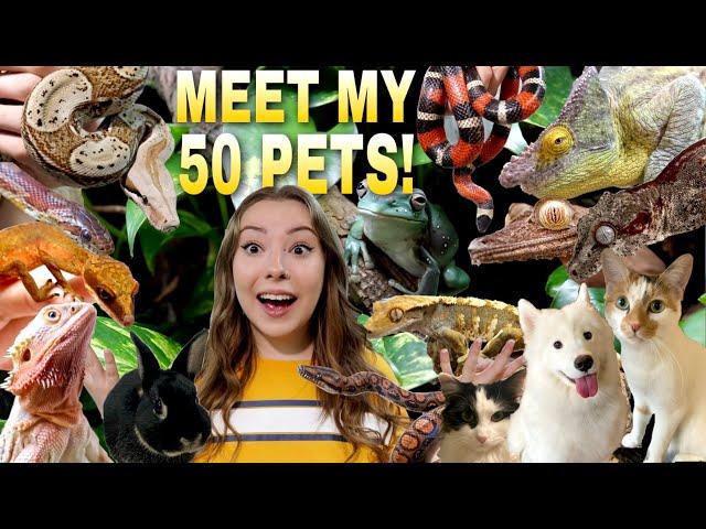 Meet All Of My Pets! 50+ Animals!