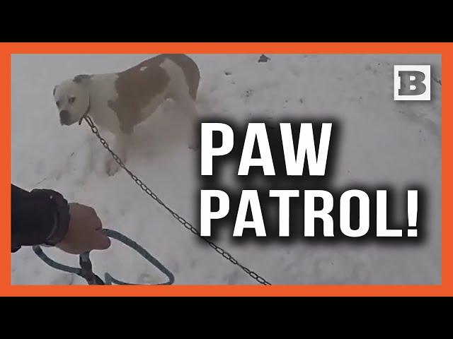 Paw Patrol! Officer Races to Rescue Dog on Leash Outside Home After 911 Call About Fire