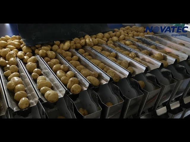 Novatec S.A. - Sorting, Weighing & Packing Line For Potatoes