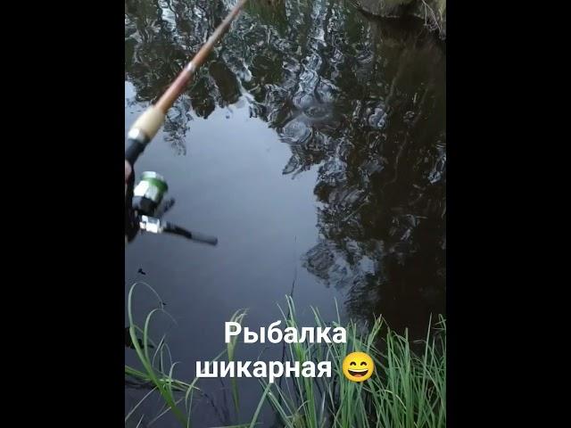 Сургут рыбалка