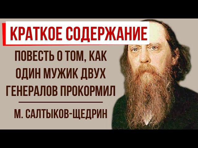 Повесть о том, как один мужик двух генералов прокормил. Краткое содержание