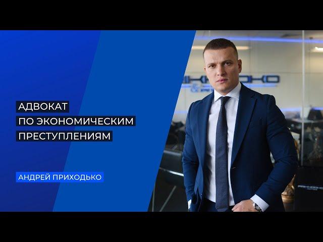 Адвокат по экономическим преступлениям. Помощь в уголовных делах, связанных с экономикой, налогами