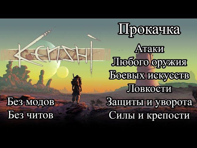 Прокачка боевых навыков | Гайд по Кенши