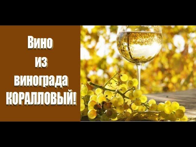 Сухое вино из винограда КОРАЛЛОВЫЙ! Домашнее сухое вино.