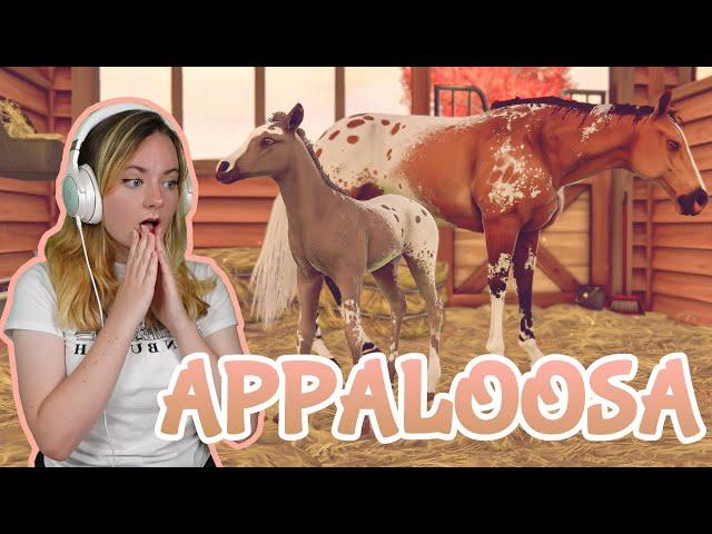 BREEDING GORGEOUS APPALOOSA COATS - Rival Stars Horse Racing | Pinehaven