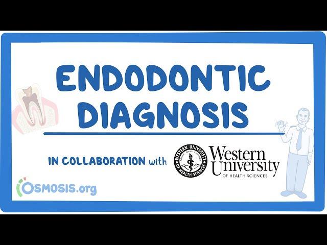 Endodontic Diagnosis (in Collaboration w/ Western University)