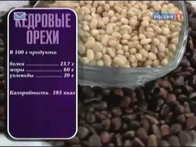 Полезные свойства кедровых орехов