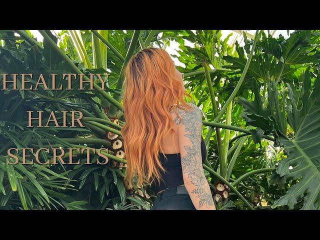 MY HAIR SECRETS TO LONG HEALTHY HAIR + FAV PRODUCTS