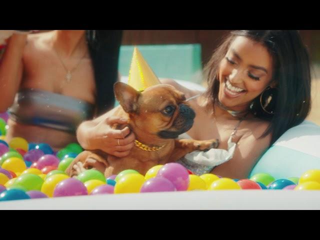 T-Pain - "It's My Dog Birthday" (Official Music Video)