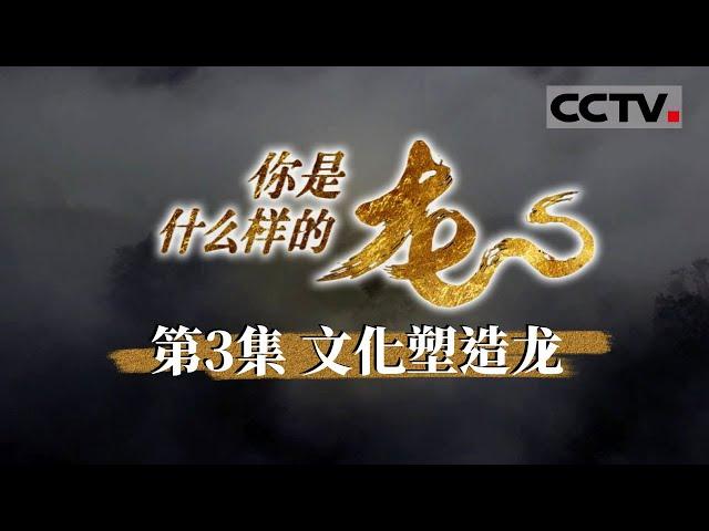 《你是什么样的龙》龙影神话：《史记》中的刘邦诞生传说与大汉帝国的传奇开篇 EP03【CCTV纪录】