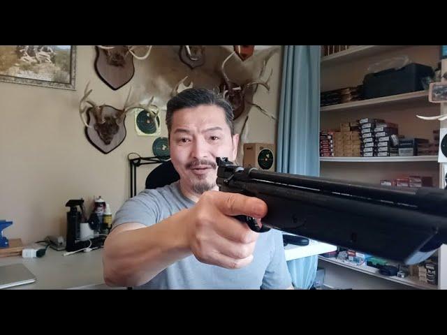 Crosman 1377 air pistol review, accuracy, pellet speed & penetration according to 5, 7, 10 pumps.