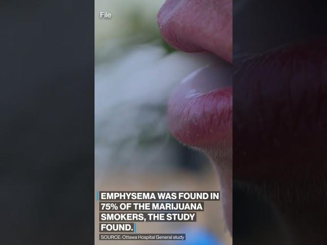 Smoking #marijuana may be more harmful to lungs than smoking #cigarettes, study finds. #health