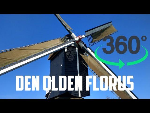 Watch oldest type of Dutch Windmill in 360