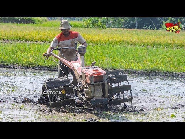 Anti Crash!! How to hand tractor work in deep land so you don't get stuck in deep mud