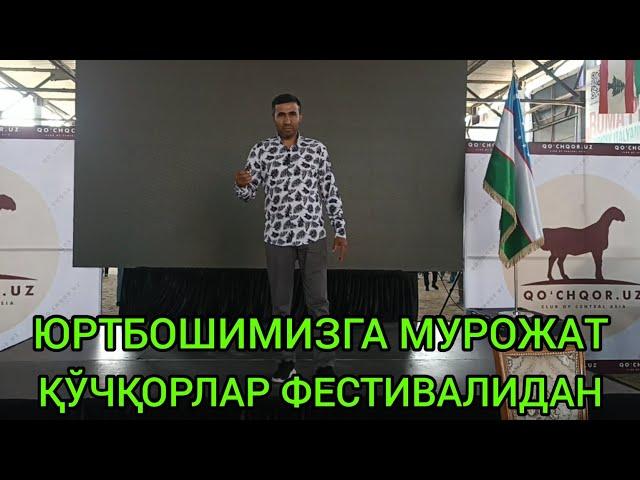 ЮРТБОШИМИЗГА МУРОЖАТ ҚЎЧҚОРЛАР ФЕСТИВАЛИДАН