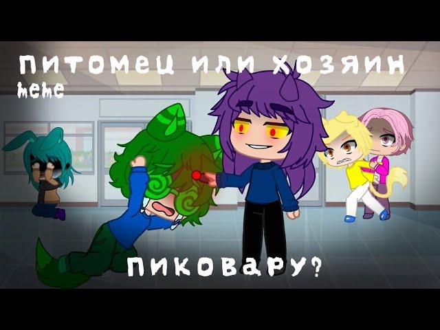 Питомец или хозяин meme (13 карт/Земля королей [ПикоВару], Gacha Club)