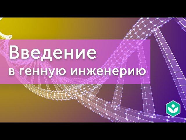 Введение в генную инженерию (видео 1) | Генная инженерия |Молекулярная генетика