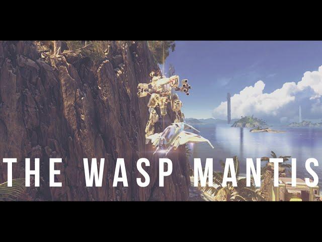 The Manticus Waspeous - MANTIS WASP SURFING