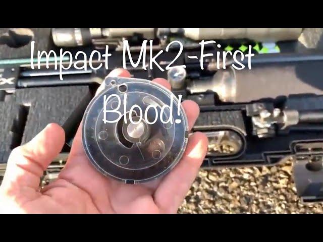 #5 FX Impact MK2 First Blood-New Swedish Model Is In Town