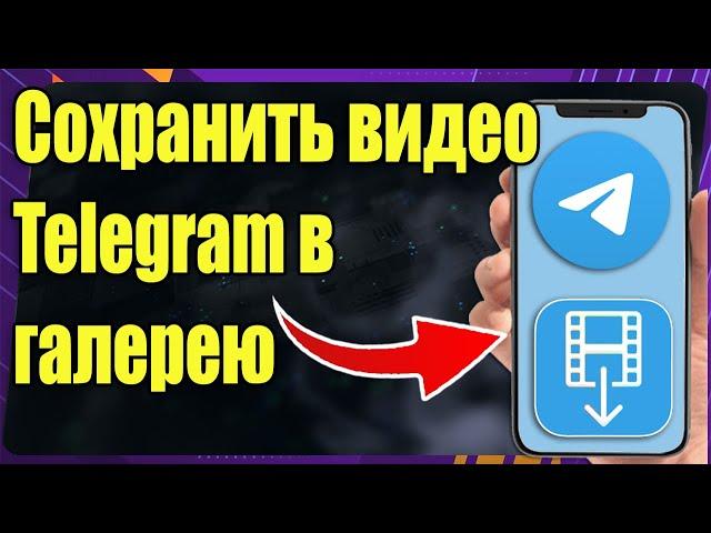 Как сохранить видео из Telegram в галерею телефона