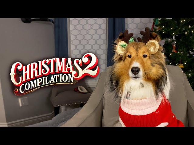 Reindeer Sighting?  a Christmas Compilation e381